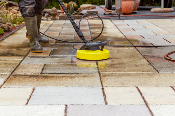 Best Solar Panel Cleaning  in Lynnwood, WA