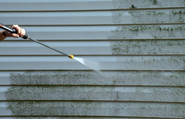 Best Roof Washing  in Lynnwood, WA